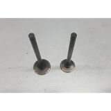 MSR  Yamaha Cygnus Rs 125 Emme Egzoz Supap Takımı