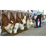 Vitamel Ilaç- Vitavimin S500 Rumen Buffer