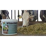 Vitamel Vitavimin Mılk Sağmal Inekler Için Yem Katkı Maddesi