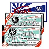 Viktoria Kumaş Boyası Petrol 2Pk+Fiske Sabitleme 1Pk