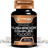 WELLNESS LABS Reishi Mushroom 10:1 Extract Lions Mane Turkey Tail 120 Caps