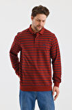 ALEXANDERGARDI POLO YAKA ÇİZGİLİ REGULAR FİT SWEATSHIRT (WK25386)