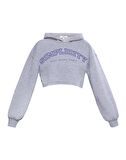 Gri Simplicity Crop Sweatshirt