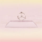  Dekoratif Masa Üstü Obje Manyetik Kinetik Orbital Dönen Yunuslar