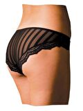 X LADY DANTELLİ TRANSPARAN KADIN KÜLOT 500