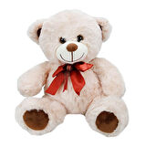 Sevimli Peluş Ayı 30 cm