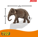 Schleich El İşçiliği Dişi Asya Fili Figürü Gerçekçi Wild Life Koleksiyon 10,7 CM