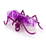 HexBots Nano Karınca - 1 ADET