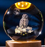 Dekoratif BAYKUŞ Tasarımlı Ahşap altlıklı Işıklı Cam Küre Büyük boy 8cm