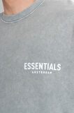 Ice Washed Essentials Amsterdam Oversize Erkek Tişört UK1432WSSY
