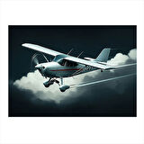 Pervaneli Beyaz Uçak Art Mdf Poster 50cmX 70cm