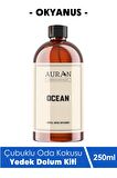 Okyanus Yedek Çubuklu Oda Ve Ortam Kokusu Esansı Yedek Dolum Şişe Ocean 250ml