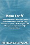 Okyanus Yedek Çubuklu Oda Ve Ortam Kokusu Esansı Yedek Dolum Şişe Ocean 250ml