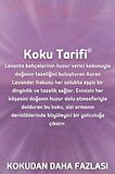 Lavanta Yedek Çubuklu Oda Ve Ortam Kokusu Esansı Yedek Dolum Şişe Lavender 500ml