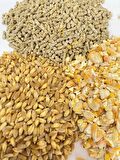 Şenler Zahire - 5 Kg - Yumurta Palet Yemi - Kırık Mısır ve Buğday Karışık Yem