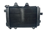 Bajaj Dominar D 250 Radyatör
