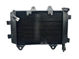 Bajaj Dominar D 250 Radyatör