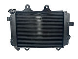 Bajaj Dominar 400 Radyatör