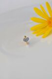Zirkon Taşlı Kalp Model Helix Piercing Küpe Kıkırdak Lob Uyumlu