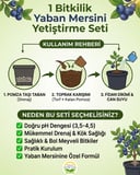 1 Bitkilik Yaban Mersini Yetiştirme Seti
