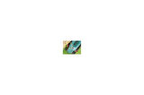 Bosch ARM 32 Elektrikli Çim Biçme Makinesi 0 600 885 B03