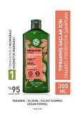 YVES ROCHER ONARICI PREBİYOTİK ŞAMPUAN VE YAĞLI SAÇLAR İÇİN (PURE DETOX) ARINDIRICI 2si1 ARADA PEELİNG VE MASKE