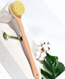 Sırt Fırçası Selülit Fırçası Doğal Agave Kaktüs Vegan Duş Fırçası Yuvarlak Özel Taşıma Çantasında