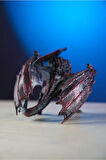 Yüzüklerin Efendisi Balrog Lotr Boyalı Figür 13 Cm