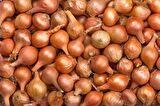 YERLİ KIRMIZI ARPACIK SOĞAN 4 NUMARA (500 GR)