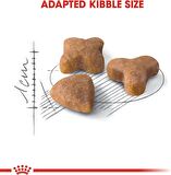 Canin Sensible 33 Kedi Maması, 2 Kg