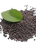 Toprak Altı Taban Gübresi Granül NP 5.20.0 + 20 SO3+ME Kükürt Çinko Micro Elementli 10 Kg