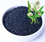 Köklendirici Çiçek, Bitki, Fidan Geliştirici POTASYUM HUMAT Humic-Fulvic Asit 500Gr