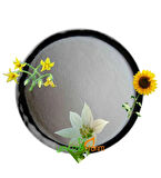 MAP Gübresi Mono Amonyum Fosfat Ec Fertilizer 12.61.0 NP Water Soluble 2,5 Kg