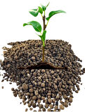 LEONARDİT-HUMİC FULVİC ASİT ORGANİK TABAN GÜBRESİ (10 Kg)