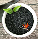 Organik Toz Hümik Fülvik Asit Potasyum Humat Gübre 500 gr