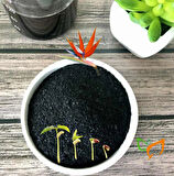 Organik Toz Hümik Fülvik Asit Potasyum Humat Gübre 500 gr