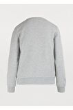 Touitronic Sweatshirt