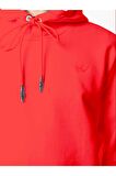 Mcq Swallow Patch Hoodie