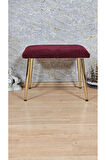 Tedy Kumaşlı 60 cm x 38 cm Gold Sivriltme Ayaklı Oturak