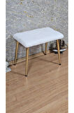 Tedy Kumaşlı 60 cm x 38 cm Gold Sivriltme Ayaklı Oturak