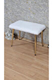 Tedy Kumaşlı 60 cm x 38 cm Gold Sivriltme Ayaklı Oturak