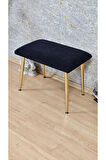 Tedy Kumaşlı 60 cm x 38 cm Gold Sivriltme Ayaklı Oturak