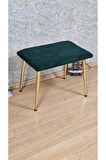Tedy Kumaşlı 60 cm x 38 cm Gold Sivriltme Ayaklı Oturak