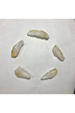 Tamburlanmış Sitrin Doğal Taş (3-4cm)