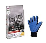 ProPlan Tavuklu Yavru Kuru Kedi Maması 3 Kg + Masaj Eldiveni