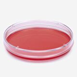 Petri Kabı Kutusu 90 Mm - Dayanıklı Plastik  -  10 Adetlik Set