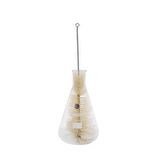 Laboratuvar Erlen Yıkama Fırçası 29cm Orta Boy - 11 Adetlik Set
