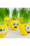 Eğitici Öğretici Çocuk Oyuncaklar Emoji Kafa Çim Adam 3Adet