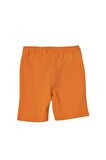 United Colors of Benetton Erkek Çocuk Şort BNT-B238-R