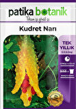 5 Adet Kudret Narı Tohumu